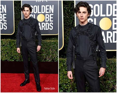 louis vuitton timothee chalamet|timothee Chalamet dresses.